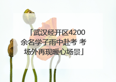 武汉经开区4200余名学子雨中赴考 考场外再现暖心场景
