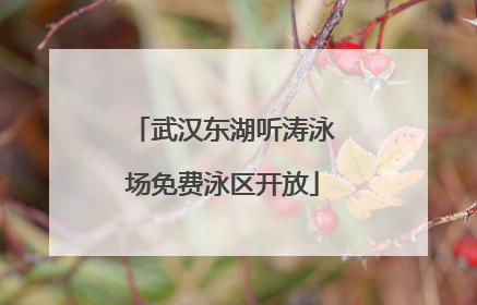 武汉东湖听涛泳场免费泳区开放