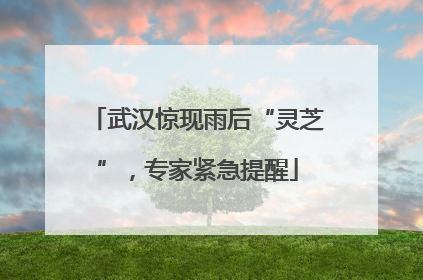 武汉惊现雨后“灵芝”，专家紧急提醒