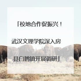 校地合作促振兴！武汉文理学院深入房县白鹤镇开展调研