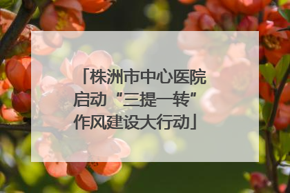 株洲市中心医院启动“三提一转”作风建设大行动