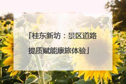 桂东新坊：景区道路提质赋能康旅体验