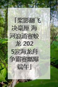桨影翻飞决毫厘 海河浪涌赛蛟龙 2025滨海龙舟争霸赛燃爆端午