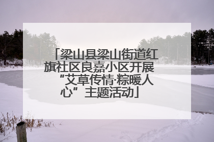 梁山县梁山街道红旗社区良嘉小区开展“艾草传情·粽暖人心”主题活动
