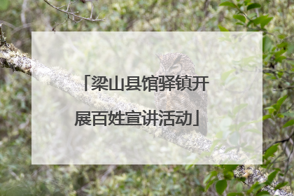梁山县馆驿镇开展百姓宣讲活动