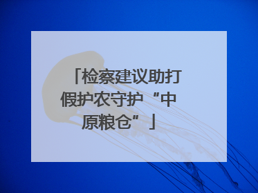 检察建议助打假护农守护“中原粮仓”