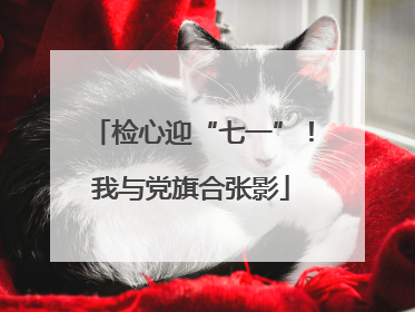 检心迎“七一”！我与党旗合张影