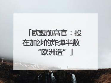 欧盟前高官：投在加沙的炸弹半数“欧洲造”