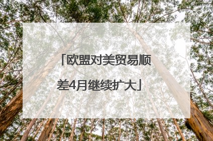欧盟对美贸易顺差4月继续扩大