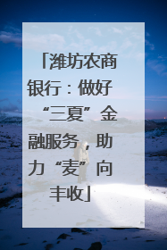 潍坊农商银行：做好“三夏”金融服务，助力“麦”向丰收