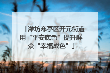 潍坊寒亭区开元街道用“平安底色”提升群众“幸福成色”