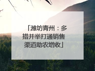潍坊青州：多措并举打通销售渠道助农增收