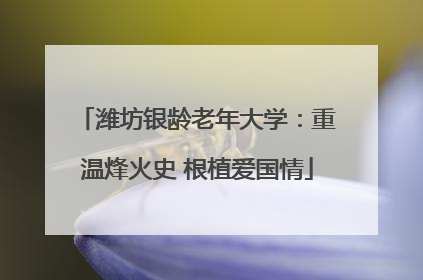 潍坊银龄老年大学：重温烽火史 根植爱国情