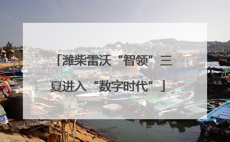 潍柴雷沃“智领”三夏进入“数字时代”