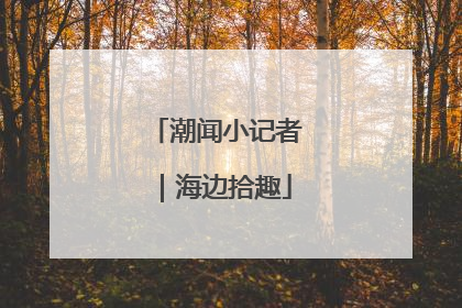潮闻小记者｜海边拾趣
