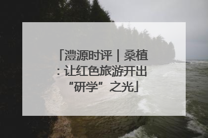 澧源时评｜桑植：让红色旅游开出“研学”之光