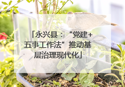 永兴县：“党建+五事工作法”推动基层治理现代化