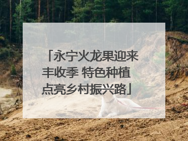 永宁火龙果迎来丰收季 特色种植点亮乡村振兴路