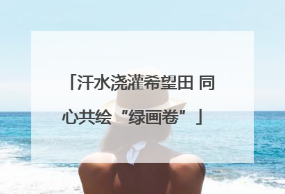 汗水浇灌希望田 同心共绘“绿画卷”