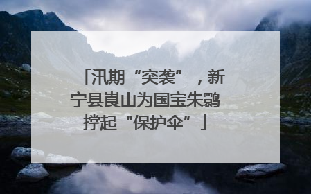 汛期“突袭”，新宁县崀山为国宝朱鹮撑起“保护伞”