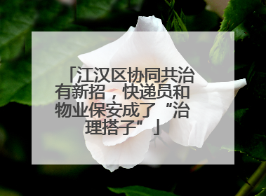 江汉区协同共治有新招，快递员和物业保安成了“治理搭子”