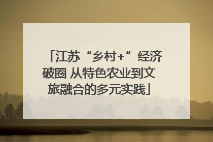 江苏“乡村+”经济破圈 从特色农业到文旅融合的多元实践