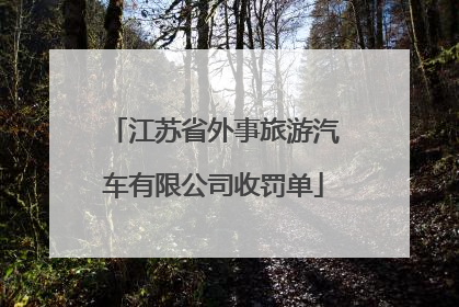 江苏省外事旅游汽车有限公司收罚单