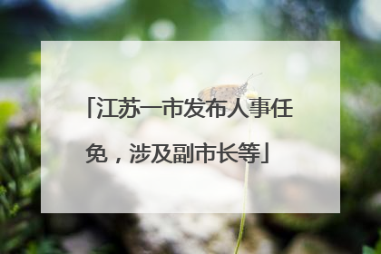江苏一市发布人事任免，涉及副市长等