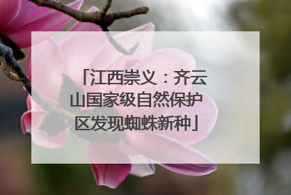 江西崇义：齐云山国家级自然保护区发现蜘蛛新种