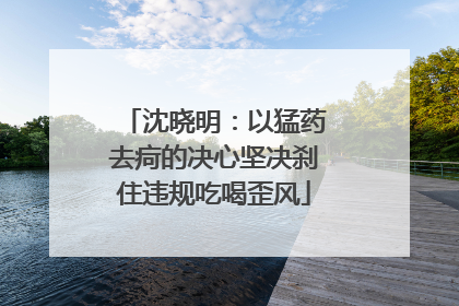 沈晓明：以猛药去疴的决心坚决刹住违规吃喝歪风