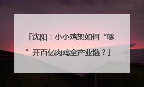 沈阳：小小鸡架如何“啄”开百亿肉鸡全产业链？