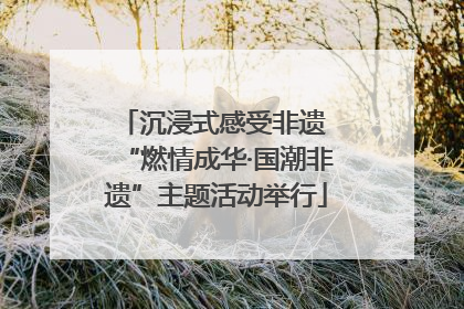 沉浸式感受非遗 “燃情成华·国潮非遗”主题活动举行