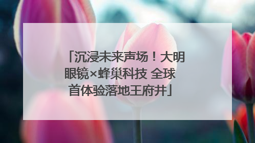 沉浸未来声场！大明眼镜×蜂巢科技 全球首体验落地王府井