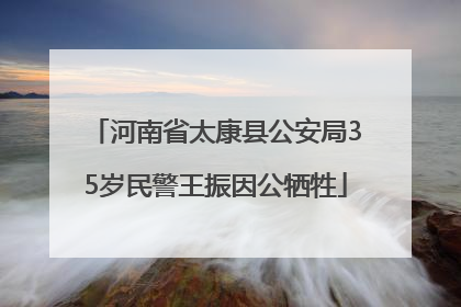 河南省太康县公安局35岁民警王振因公牺牲