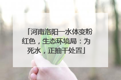 河南洛阳一水体变粉红色，生态环境局：为死水，正抽干处置