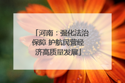 河南：强化法治保障 护航民营经济高质量发展