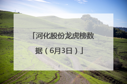 河化股份龙虎榜数据（6月3日）