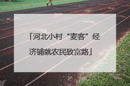 河北小村“麦客”经济铺就农民致富路