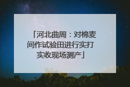 河北曲周：对棉麦间作试验田进行实打实收现场测产