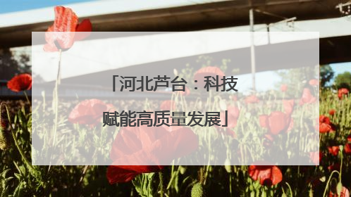 河北芦台：科技赋能高质量发展