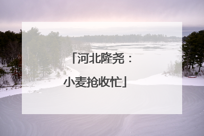 河北隆尧：小麦抢收忙