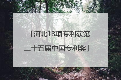 河北13项专利获第二十五届中国专利奖