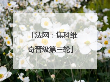 法网：焦科维奇晋级第三轮