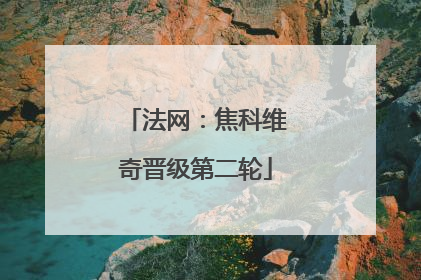 法网：焦科维奇晋级第二轮