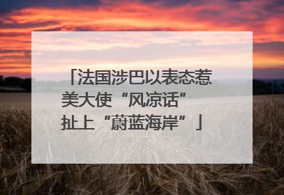 法国涉巴以表态惹美大使“风凉话” 扯上“蔚蓝海岸”