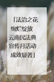 法治之花绚烂绽放 云南民法典宣传月活动成效显著