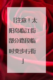 注意！太阳岛临江街部分路段临时变步行街