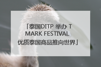 泰国DITP 举办 T MARK FESTIVAL 优质泰国商品推向世界