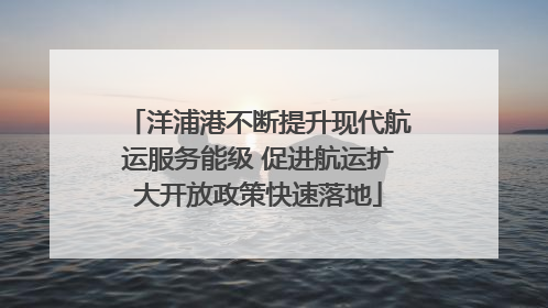 洋浦港不断提升现代航运服务能级 促进航运扩大开放政策快速落地