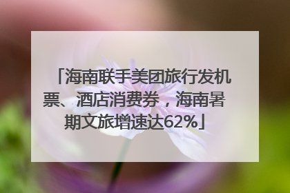 海南联手美团旅行发机票、酒店消费券，海南暑期文旅增速达62%